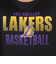 エヌビーエー（NBA）バスケットボールウェア 半袖Tシャツ ロサンゼルス・レイカーズ 3AAD-LAKERS