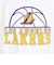 エヌビーエー（NBA）バスケットボールウェア 長袖Tシャツ ロサンゼルス・レイカーズ 3AAE-LAKERS
