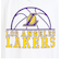 エヌビーエー（NBA）バスケットボールウェア 長袖Tシャツ ロサンゼルス・レイカーズ 3AAE-LAKERS