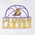 エヌビーエー（NBA）バスケットボールウェア 長袖Tシャツ ロサンゼルス・レイカーズ 3AAE-LAKERS