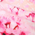 バフ（BUFF）ORIGINAL SAKURA 421562