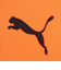 プーマ（PUMA）サッカー キャプテンズアームバンドV JR 05162805