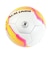 ミカサ（MIKASA）サッカーボール 5号球 検定球 FIFA 貼り JUFA FT550B-YP-FQP-JUFA