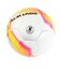 ミカサ（MIKASA）サッカーボール 5号球 検定球 FIFA 貼り JUFA FT550B-YP-FQP-JUFA