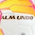 ミカサ（MIKASA）サッカーボール 5号球 検定球 FIFA 貼り JUFA FT550B-YP-FQP-JUFA