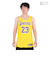 ナイキ（NIKE）タンクトップ NBA バスケットボールウェア アイコン エディション スウィングマン ジャージー DN2009-733