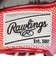 ローリングス（Rawlings）軟式用グラブ オールラウンド用 HOH グラフィック N64-GRY GR4HGN64-GRY