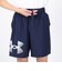 アンダーアーマー（UNDER ARMOUR）ウーブン ロゴグラフィック ショーツ 1377139 410