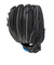 ミズノ（MIZUNO）少年軟式用グラブ オールラウンド用 ジュニア WILL DRIVE BLUE 1AJGY20530 09H