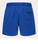 オークリー（OAKLEY）ROBINSON BEACHSHORT FOA404300-671 ボードショーツ