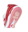 デスポルチ（Desporte）サッカーインドアトレーニングシューズ サッカーシューズ 屋内 室内 サンルイスLL ID LTD DS2036-PWHT/DRE…