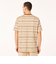 オークリー（OAKLEY）BLURRRED STRIPES 半袖Tシャツ FOA405507-BAI