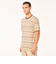 オークリー（OAKLEY）BLURRRED STRIPES 半袖Tシャツ FOA405507-BAI