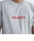 クイックシルバー（Quiksilver）tシャツ 半袖 グレー CLICKER LOGO DNA 半袖Tシャツ 24SPQST241014HTR