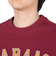 ラッセル（RUSSELL）16/-OE カレッジアメフト Tシャツ RBM24S0007 WIN