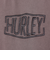 ハーレー（HURLEY）PIGMENT DYED 半袖Tシャツ MSS2411016-CFB
