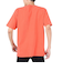 ハーレー（HURLEY）PIGMENT DYED 半袖Tシャツ MSS2411016-CML