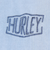 ハーレー（HURLEY）PIGMENT DYED 半袖Tシャツ MSS2411016-DBLE