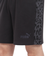 プーマ（PUMA）サッカーウェア パラメヒコ ショーツ 65960401