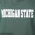 チャンピオン-ヘリテイジ（CHAMPION-HERITAGE）USA ティーテンイレブン MSU Tシャツ 半袖 C5-Z305 560