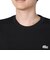 ラコステ（LACOSTE）ヘビーウェイト ブランドネームロゴTシャツ TH2299-99031