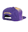 NBA TAPESTRY SNAPBACK キャップ LAK HHSS2991-LALYYPPPPURP