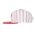 NBA RETRO PINSTRIPE SNAPBACK キャップ HHSS3470-CBUYYPPPWHIT