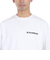 ディーシーシューズ（DC SHOES）24 PLANETSS 半袖Tシャツ 24SUDST242032YWHT