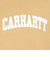 カーハート（CARHARTT）半袖 UNIVERSITYSCRIPT Tシャツ I02899122SXX