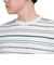 半袖 ストライプ Tシャツ SL24SSM-APP014-BEG