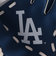 エムエルビー（MLB）MLB LAドジャース 9.5インチグローブ ボール セット 76099F19K6 LAD