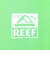 リーフ（REEF）スクエアロゴ半袖Tシャツ RFTEM2412-GRN