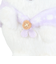 てのりぬいぐるみ しろくまのふるさと しろくまのおかあさん MO59201