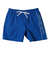 クイックシルバー（Quiksilver）水着 海水パンツ EVERYDAY VERT VOLLEY 19 ボードショーツ 24SPAQYJV03157BYC0