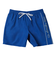 クイックシルバー（Quiksilver）水着 海水パンツ EVERYDAY VERT VOLLEY 19 ボードショーツ 24SPAQYJV03157BYC0