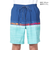 クイックシルバー（Quiksilver）水着 海水パンツ EVERYDAY WORDBLOCK VOLLEY 19 ボードショーツ 24SPAQYJV0315…