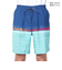 クイックシルバー（Quiksilver）水着 海水パンツ EVERYDAY WORDBLOCK VOLLEY 19 ボードショーツ 24SPAQYJV0315…