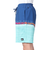 クイックシルバー（Quiksilver）水着 海水パンツ EVERYDAY WORDBLOCK VOLLEY 19 ボードショーツ 24SPAQYJV0315…