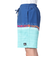 クイックシルバー（Quiksilver）水着 海水パンツ EVERYDAY WORDBLOCK VOLLEY 19 ボードショーツ 24SPAQYJV0315…