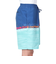 クイックシルバー（Quiksilver）水着 海水パンツ EVERYDAY WORDBLOCK VOLLEY 19 ボードショーツ 24SPAQYJV0315…