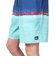クイックシルバー（Quiksilver）水着 海水パンツ EVERYDAY WORDBLOCK VOLLEY 19 ボードショーツ 24SPAQYJV0315…