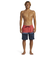 クイックシルバー（Quiksilver）水着 海水パンツ EVERYDAY WORDBLOCK VOLLEY 19 ボードショーツ 24SPAQYJV0315…
