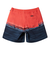 クイックシルバー（Quiksilver）水着 海水パンツ EVERYDAY WORDBLOCK VOLLEY 19 ボードショーツ 24SPAQYJV0315…