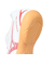 ミズノ（MIZUNO）ジュニア サッカートレーニングシューズ 芝 モナルシーダネオ3 セレクトJr IN 屋内 室内 P1GG242560