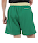 NBA TEAM OG FASHION SHOR ショーツ PSHR7122-BCEKYGN