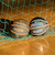 スポルディング（SPALDING）バスケットボール 7号球 ハイライト オレンジ ラバー 85-156J