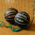 スポルディング（SPALDING）バスケットボール 7号球 ハイライト オレンジ ラバー 85-156J