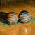 スポルディング（SPALDING）バスケットボール 5号球 ハイライト オレンジ ラバー 85-157J