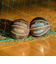 スポルディング（SPALDING）バスケットボール 5号球 ハイライト オレンジ ラバー 85-157J