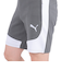 プーマ（PUMA）エヴォストライプ ショーツ 681182 80 KHK
